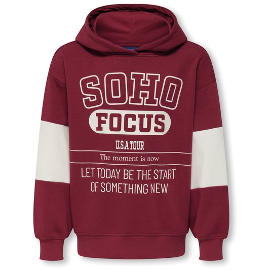 Only & Sons Cater Hoodie (22036054-TIBETANRED) Kids