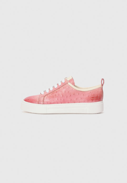 Melvin & Hamilton Amber 6 Pink (ZZO2J6U11-J00) Women