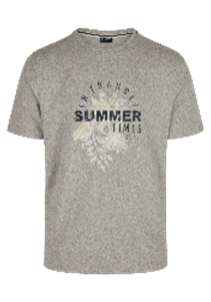 Hechter Paris T-Shirt Print Grey (75016-131929-920) Men