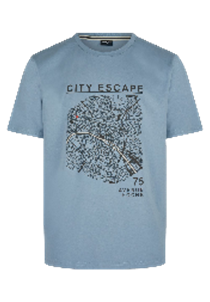 Hechter Paris T-Shirt Print Grey Blue (75021-131929-645) Men