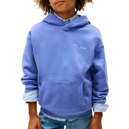Tommy Hilfiger Corp Hoodie (KS0KS00660-C6D) Kids