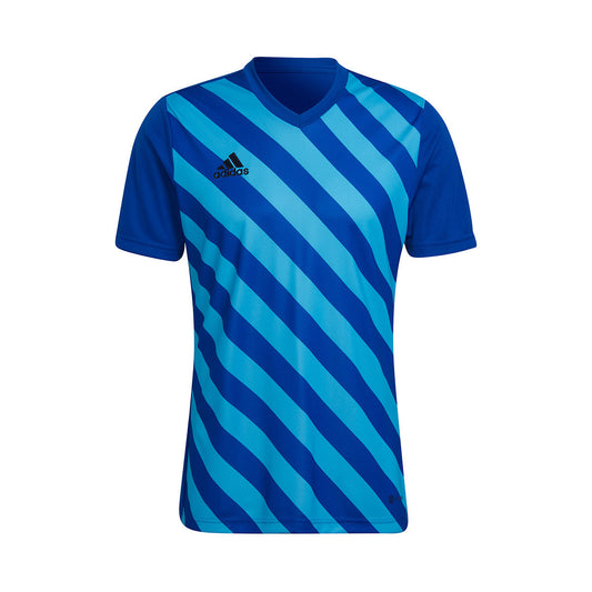 adidas T-Shirt Entrada 22 GFX Short Sleeve Royal Blue (HF0116) Men