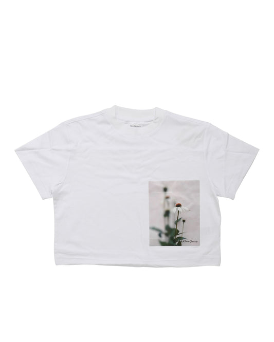 Calvin Klein Womens T-Shirt LV047AB815YAA White