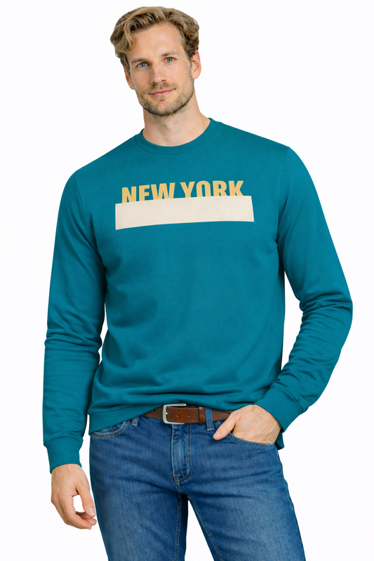 JUMPER Sweatshirt Men's TURKUSOWA (9266) Men
