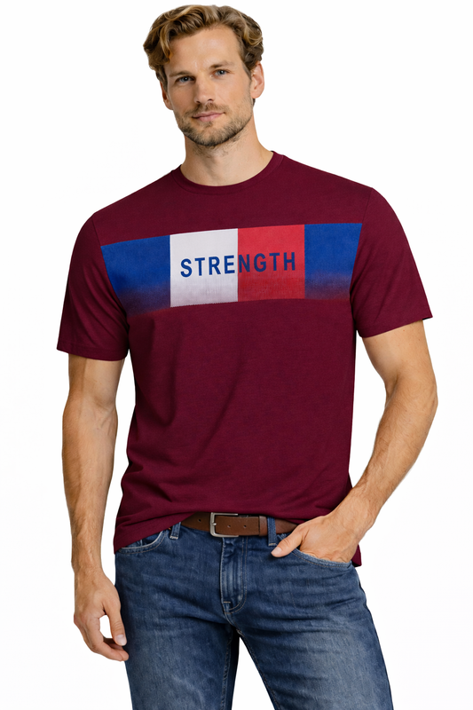 JUMPER T-SHIRT T-shirt Men's Burgundy (9137) Men