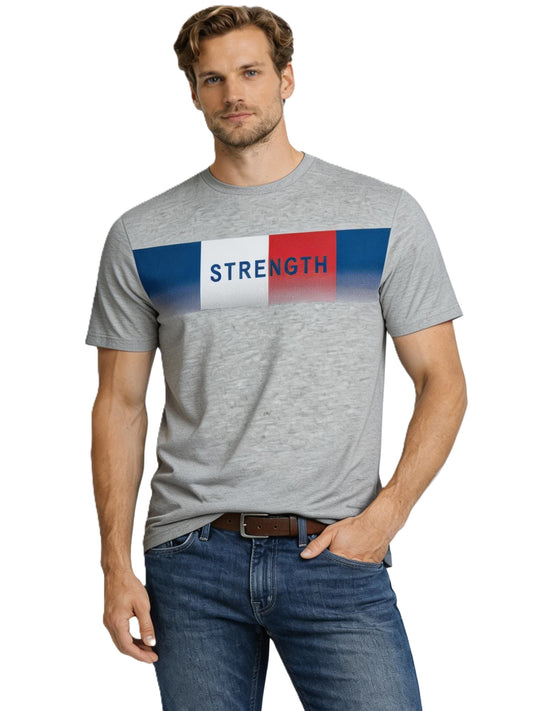 JUMPER T SHIRT T Shirt 3020 Gray (9136) Men