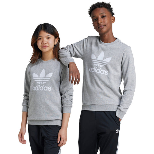 adidas Sweatshirt Trefoil Crew medium grey heather (IY7436) Kids